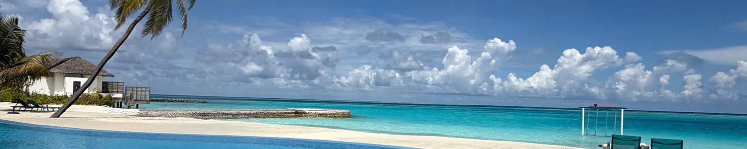 Playa tropical de aguas turquesas con palmeras